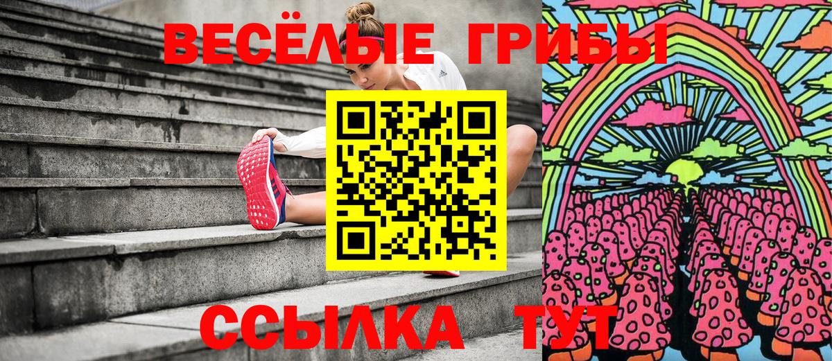 Псилоцибиновые грибы Psilocybe Лениногорск
