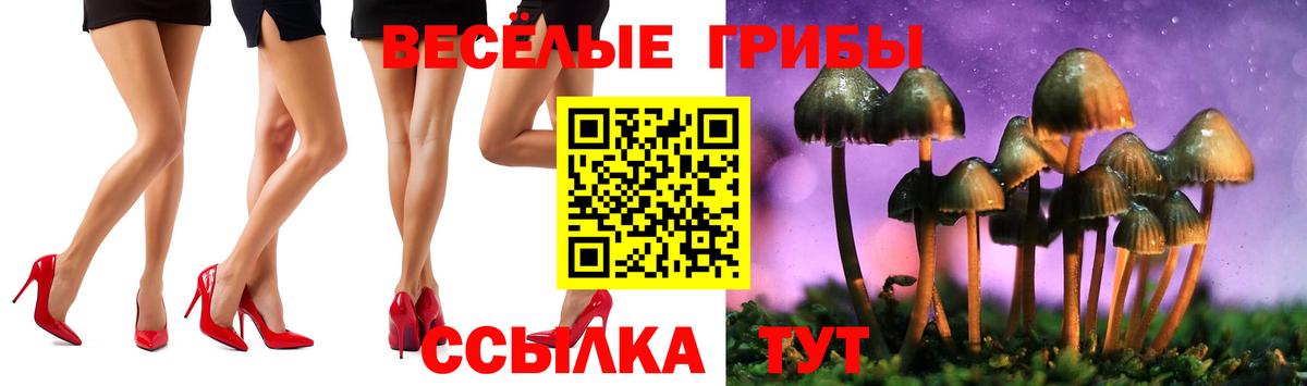 Псилоцибиновые грибы Cubensis  Вход с VPN  Лениногорск  Галлюциногенные грибы ЛСД 
